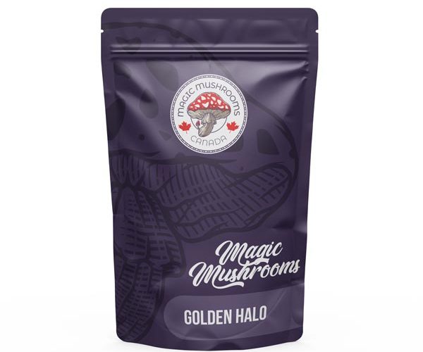 Magic Mushrooms Canada Golden Halo