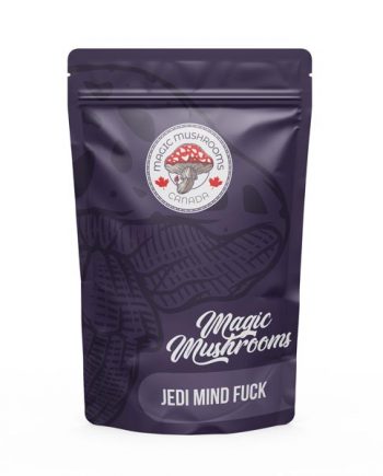 Magic Mushrooms Canada Jedi Mind Fuck