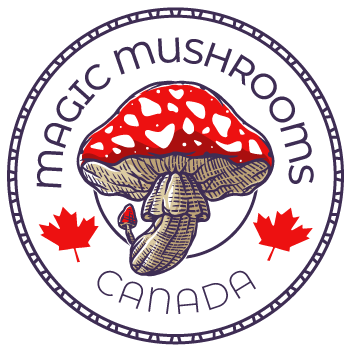 Magic Mushroom Canada